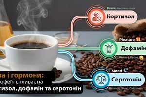 Кава і гормони: як кофеїн впливає на кортизол, дофамін та серотонін фото