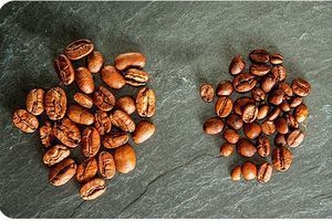 How to choose coffee for a coffee shop if you are opening a business? photo